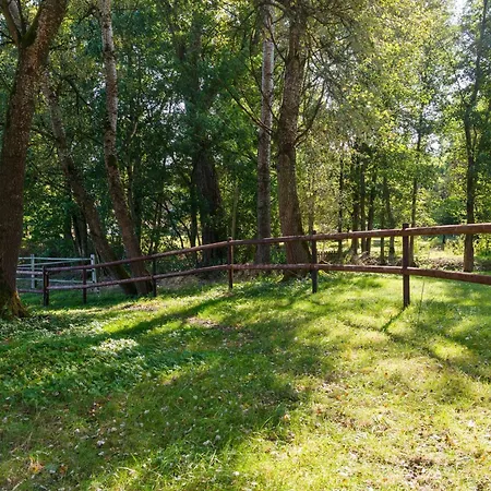 Blockhaus Mit Blick Auf Weide, Nyaraló