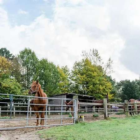 Nyaraló Blockhaus Mit Blick Auf Weide,