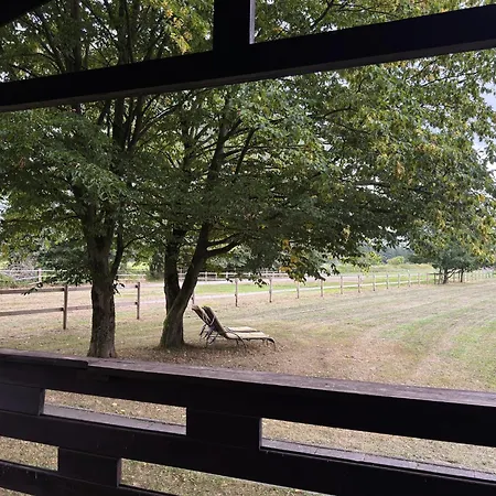 Nyaraló Blockhaus Mit Blick Auf Weide, Eschede