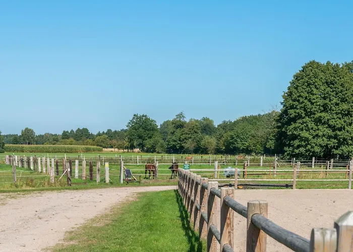 Blockhaus Mit Blick Auf Weide, Semesterbostad Eschede