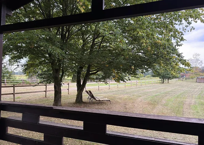 Semesterbostad Blockhaus Mit Blick Auf Weide, Eschede